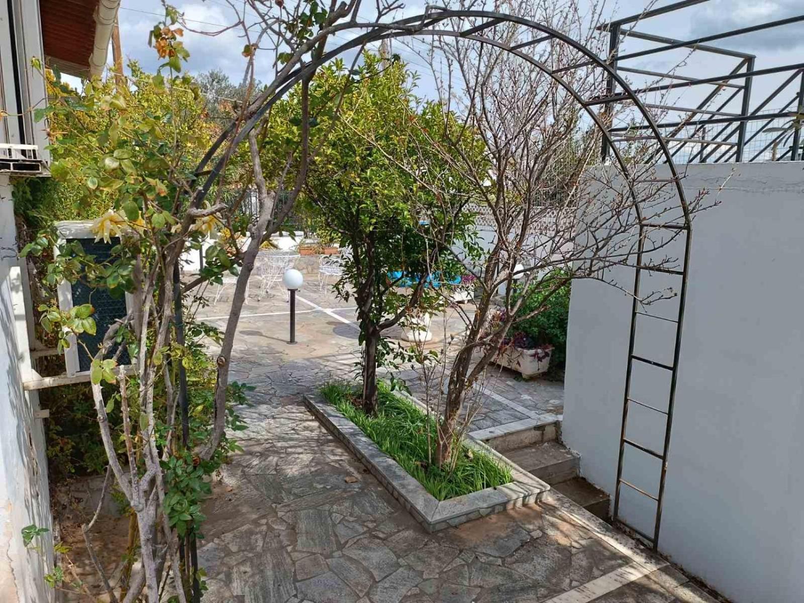 Villa Oli'S Sea House Salamina Exterior foto